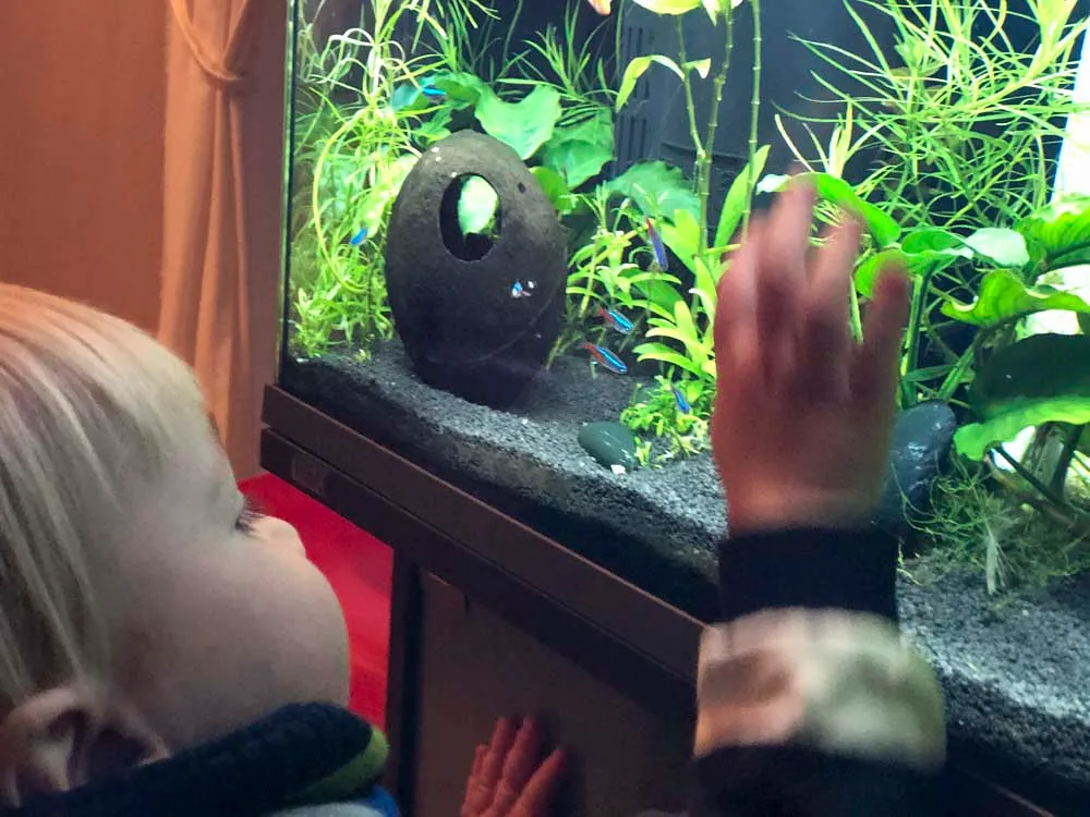 Maxiwelt Kinderbetreuung - Galerie